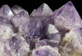 Amethyst Cluster ( lbs) - Massive Points #65011-4
